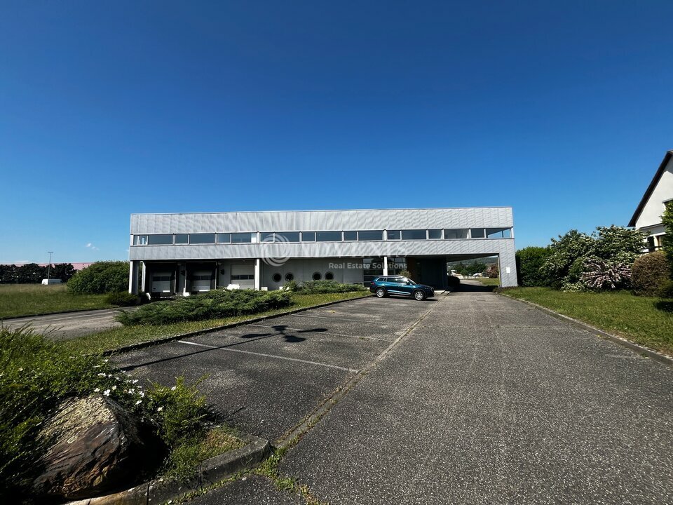ADVENIS CONSEIL STRASBOURG LOCATION-LOCAL D'ACTIVITE-MOLSHEIM-67