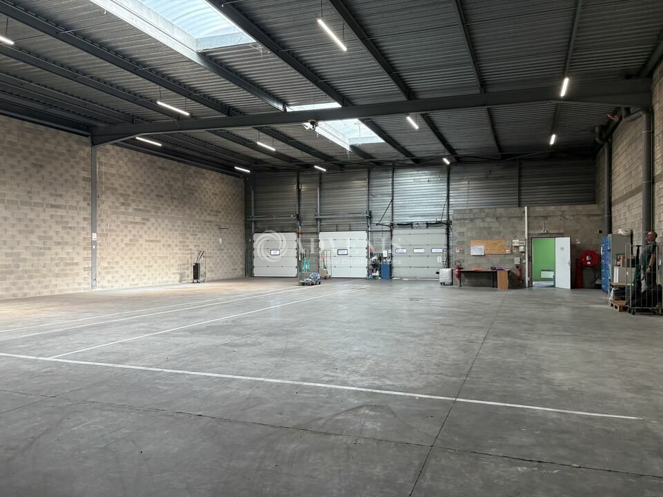 ADVENIS CONSEIL STRASBOURG LOCATION-ENTREPOT-STRASBOURG-67