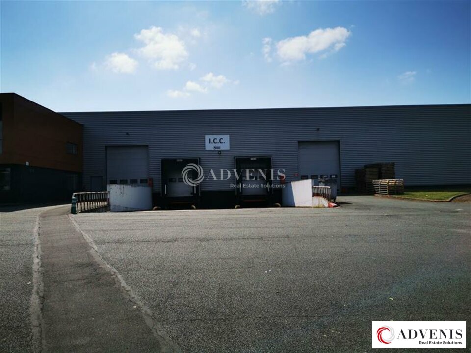 ADVENIS CONSEIL LILLE LOCATION-ENTREPOT-SAINGHIN_EN_MELANTOIS-59