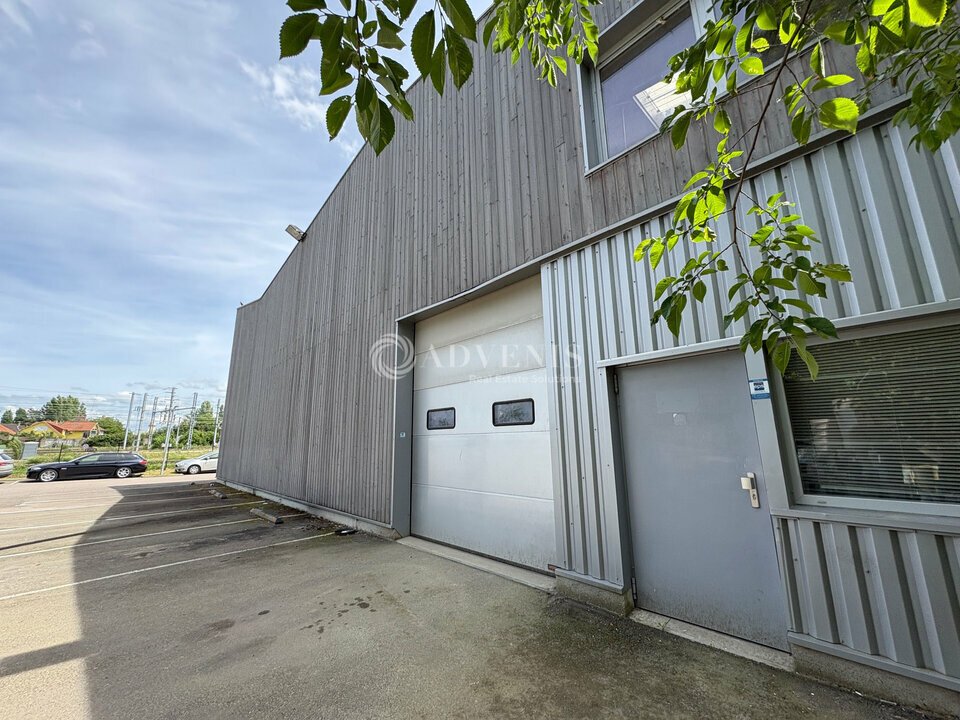 ADVENIS CONSEIL STRASBOURG LOCATION-LOCAL D'ACTIVITE-SCHILTIGHEIM-67