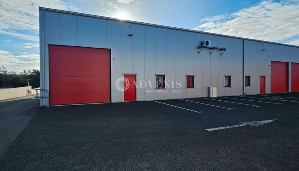 ADVENIS CONSEIL NARBONNE LOCATION-ENTREPOT-NARBONNE-11