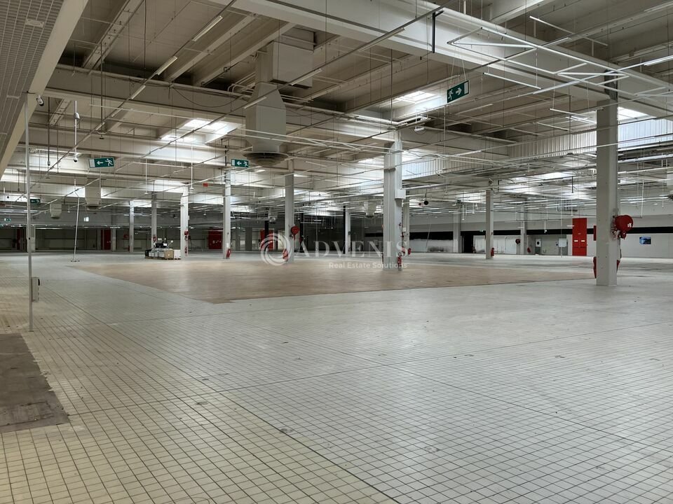 ADVENIS CONSEIL BOURGES LOCATION-LOCAL COMMERCIAL-SAINT_DOULCHARD-18