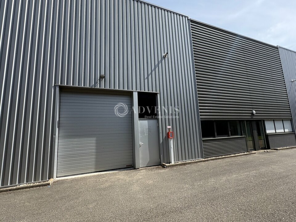 ADVENIS CONSEIL STRASBOURG LOCATION-LOCAL D'ACTIVITE-ILLKIRCH_GRAFFENSTADEN-67
