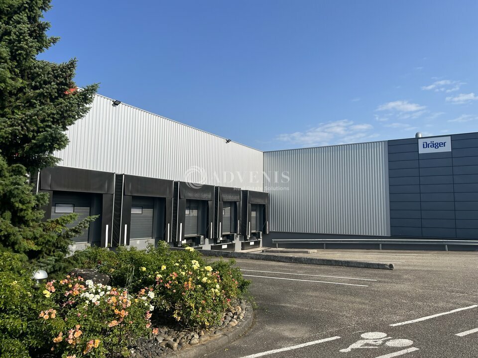 ADVENIS CONSEIL STRASBOURG LOCATION-ENTREPOT-OBERNAI-67