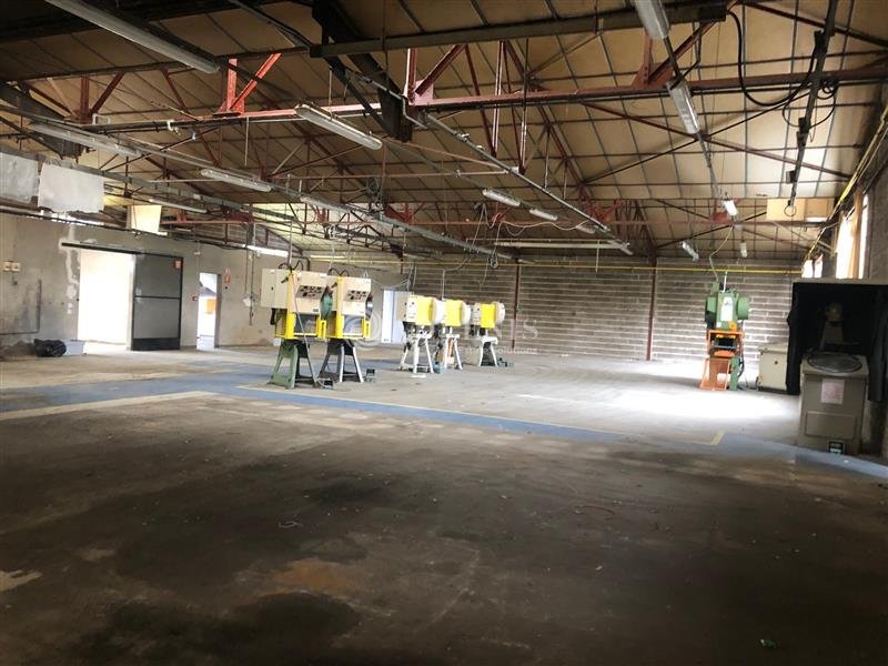 ADVENIS CONSEIL TOURS LOCATION-LOCAL D'ACTIVITE-VEIGNE-37