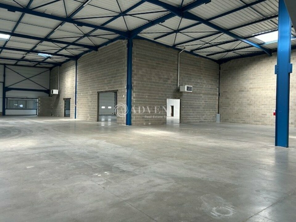 ADVENIS CONSEIL LYON LOCATION-LOCAL D'ACTIVITE-DAGNEUX-01