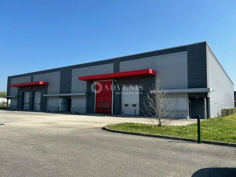 ADVENIS CONSEIL LYON LOCATION-LOCAL D'ACTIVITE-DAGNEUX-01