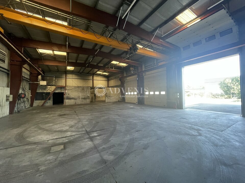 ADVENIS CONSEIL BORDEAUX VENTE-LOCAL D'ACTIVITE-PESSAC-33