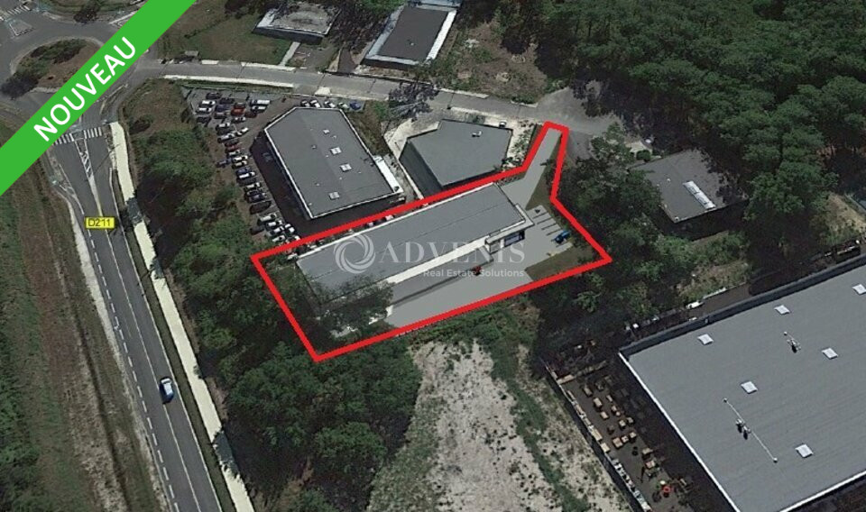 ADVENIS CONSEIL BORDEAUX VENTE-TERRAIN-SAINT_MEDARD_EN_JALLES-33