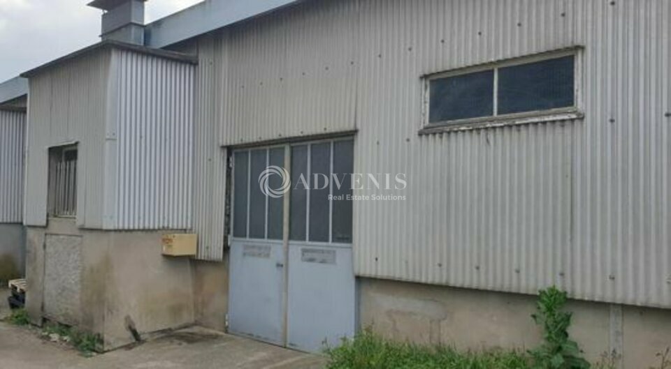 ADVENIS CONSEIL NANTES LOCATION-LOCAL D'ACTIVITE-SAINT_SEBASTIEN_SUR_LOIRE-44
