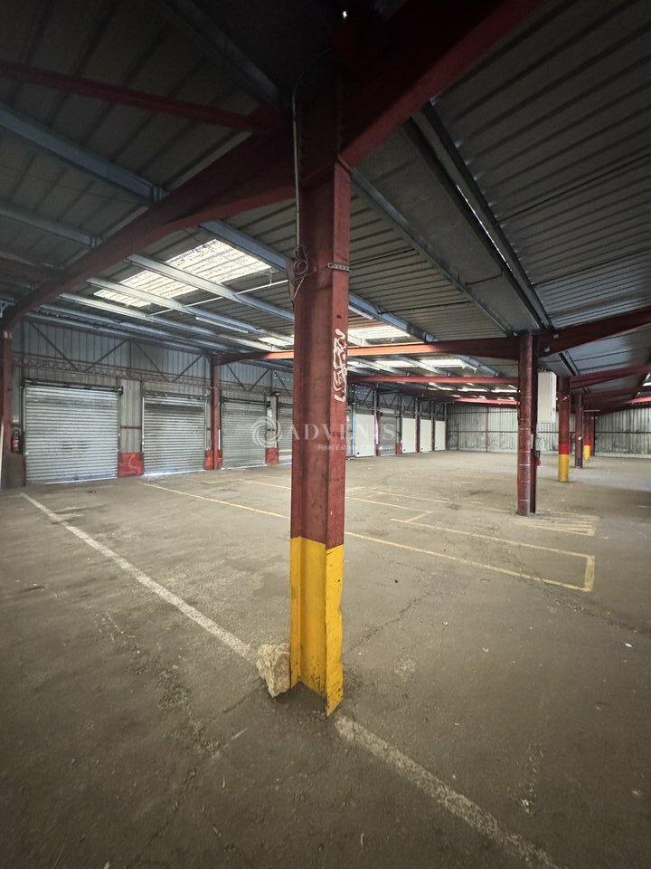 ADVENIS CONSEIL NARBONNE LOCATION-ENTREPOT-NARBONNE-11