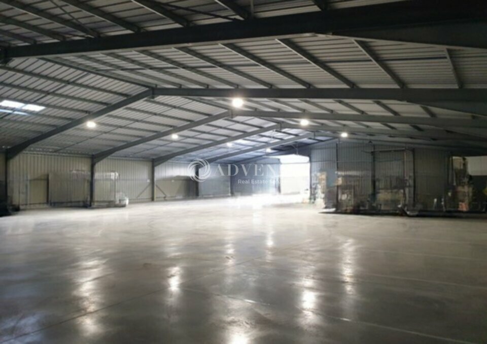 ADVENIS CONSEIL LE MANS LOCATION-LOCAL D'ACTIVITE-SPAY-72