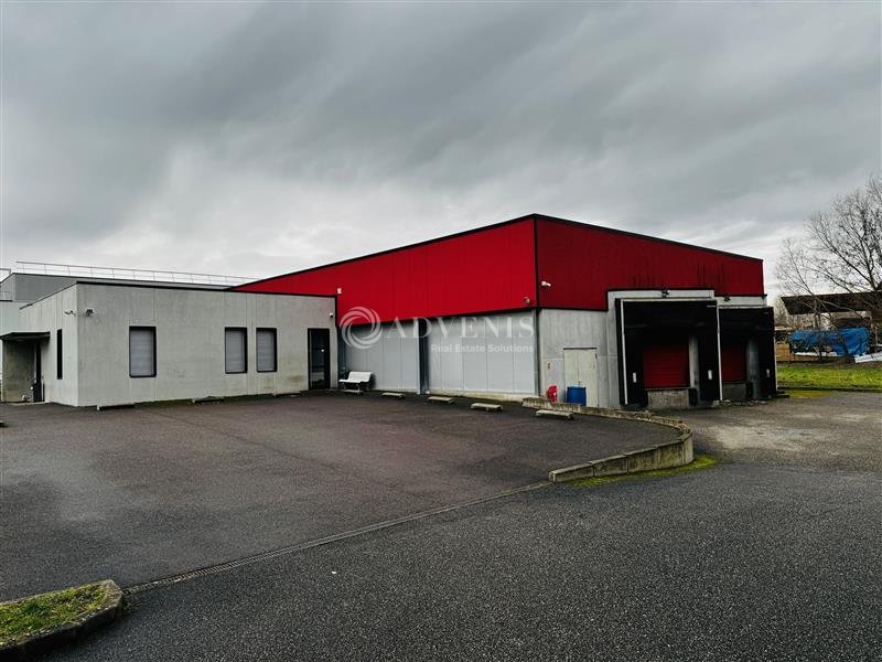 ADVENIS CONSEIL STRASBOURG LOCATION-LOCAL D'ACTIVITE-HOERDT-67