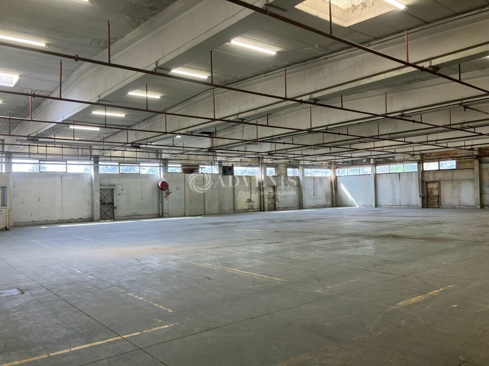 ADVENIS CONSEIL BOURGES LOCATION-LOCAL D'ACTIVITE-SAINT_FLORENT_SUR_CHER-18