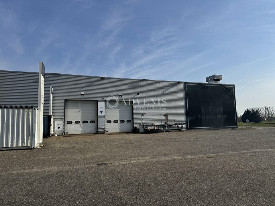 ADVENIS CONSEIL STRASBOURG LOCATION-ENTREPOT-LA_WANTZENAU-67
