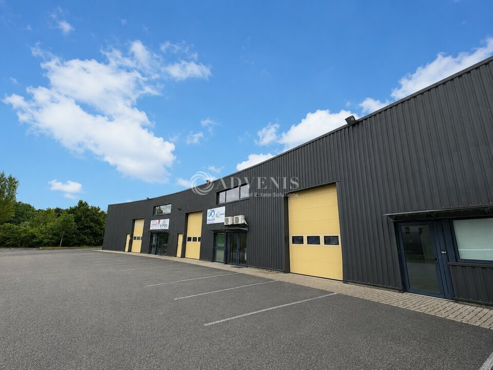 ADVENIS CONSEIL STRASBOURG LOCATION-LOCAL D'ACTIVITE-ALTORF-67