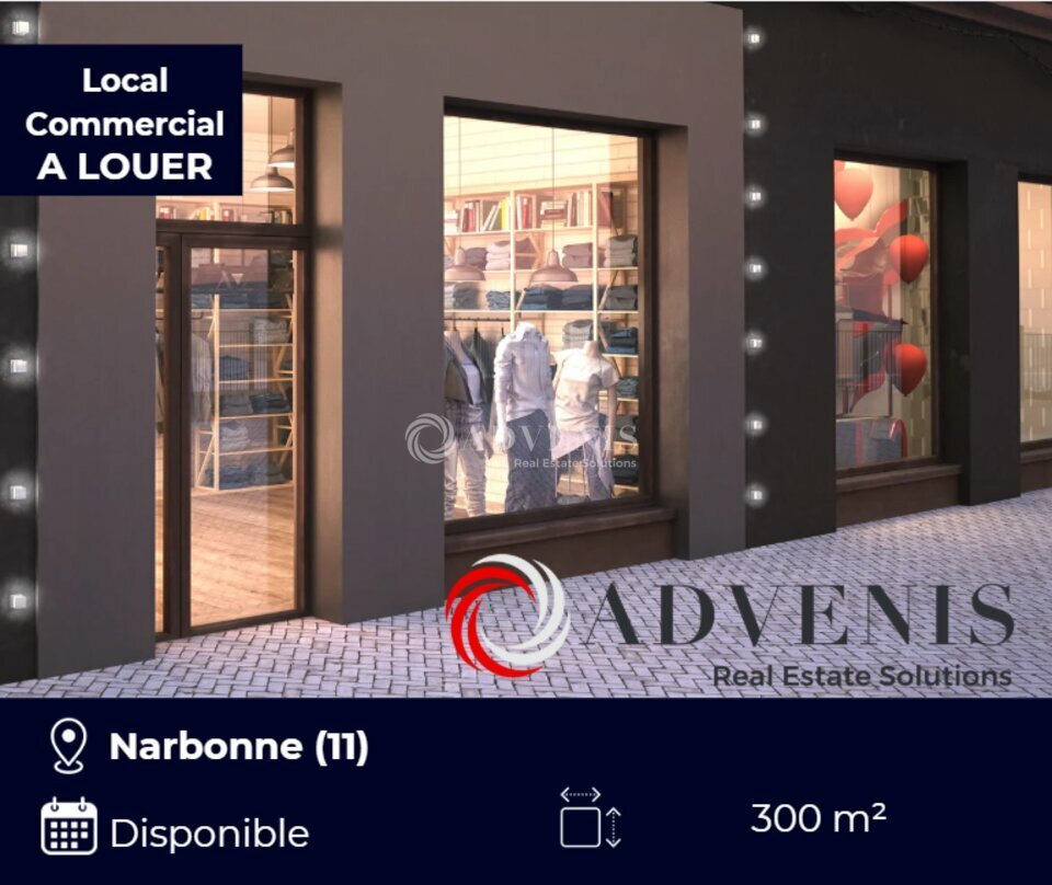 ADVENIS CONSEIL NARBONNE LOCATION-LOCAL D'ACTIVITE-NARBONNE-11