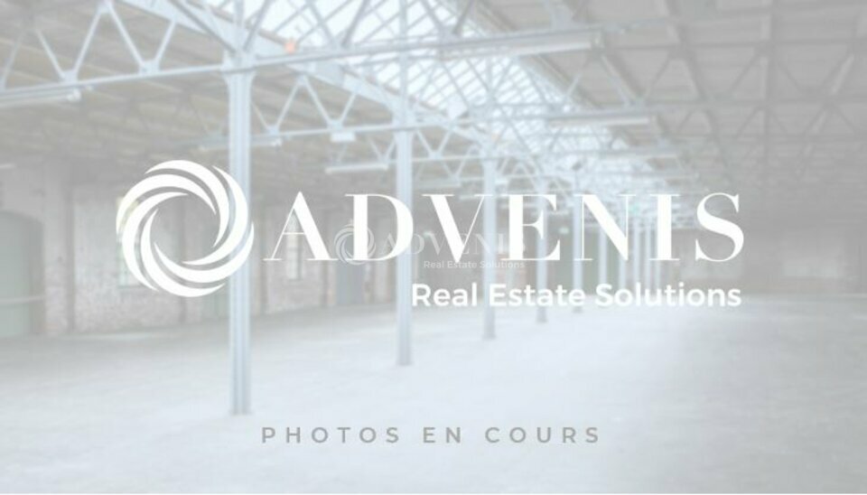 ADVENIS CONSEIL LYON LOCATION-LOCAL D'ACTIVITE-CHASSIEU-69