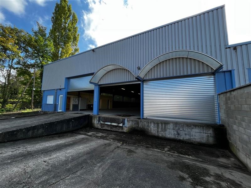 ADVENIS CONSEIL STRASBOURG LOCATION-LOCAL D'ACTIVITE-FEGERSHEIM-67