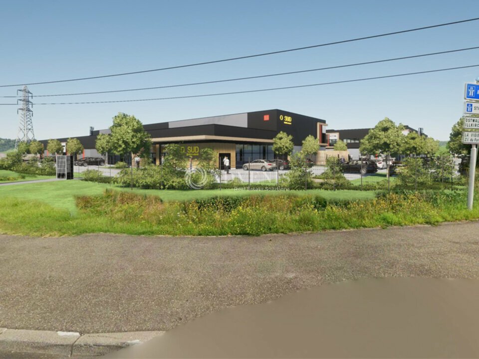 ADVENIS CONSEIL STRASBOURG LOCATION-LOCAL D'ACTIVITE-GEISPOLSHEIM-67