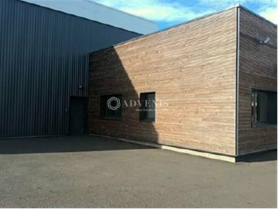 ADVENIS CONSEIL LE MANS LOCATION-LOCAL D'ACTIVITE-LE_MANS-72