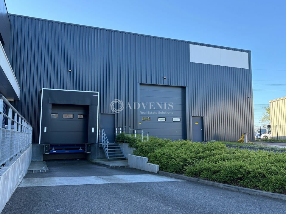 ADVENIS CONSEIL STRASBOURG LOCATION-ENTREPOT-MOLSHEIM-67