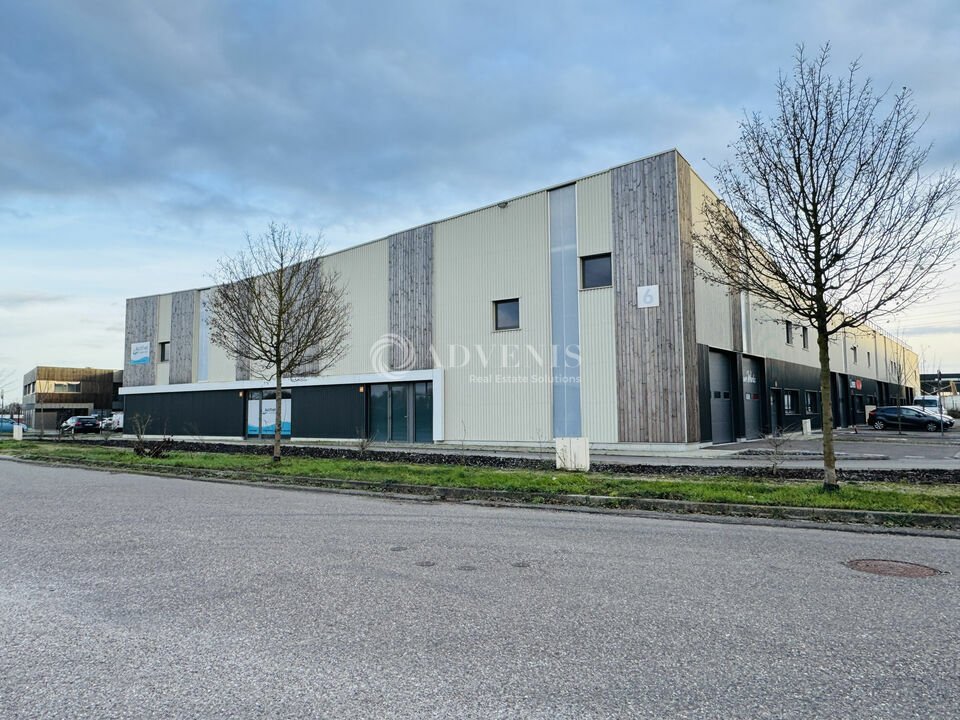 ADVENIS CONSEIL STRASBOURG LOCATION-LOCAL D'ACTIVITE-HOLTZHEIM-67