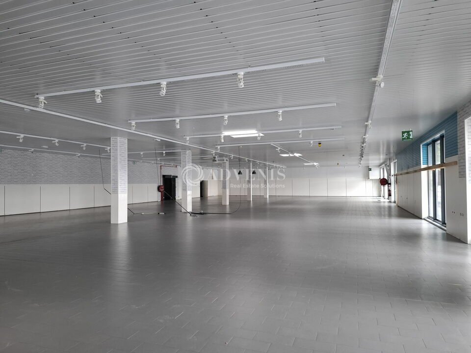 ADVENIS CONSEIL NANCY LOCATION-LOCAL COMMERCIAL-NANCY-54