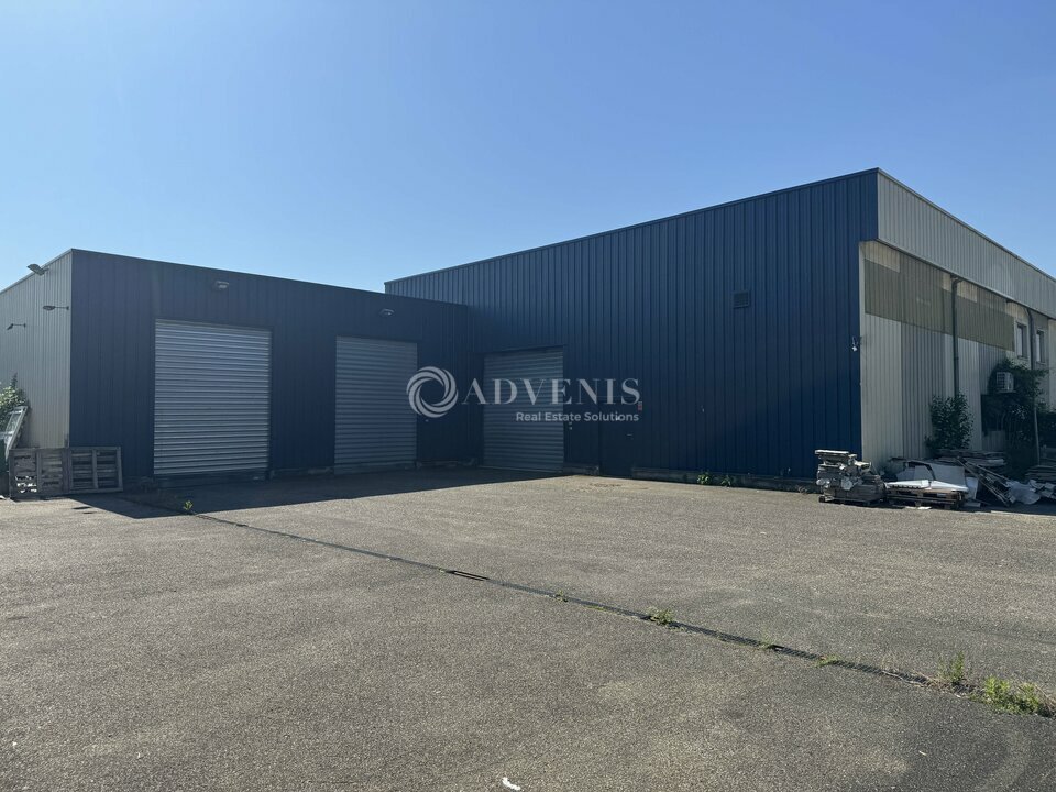 ADVENIS CONSEIL STRASBOURG LOCATION-LOCAL D'ACTIVITE-ECKBOLSHEIM-67