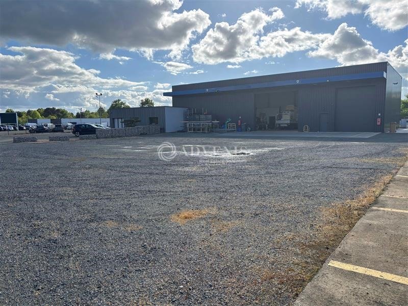 ADVENIS CONSEIL LE MANS LOCATION-LOCAL D'ACTIVITE-ROEZE_SUR_SARTHE-72