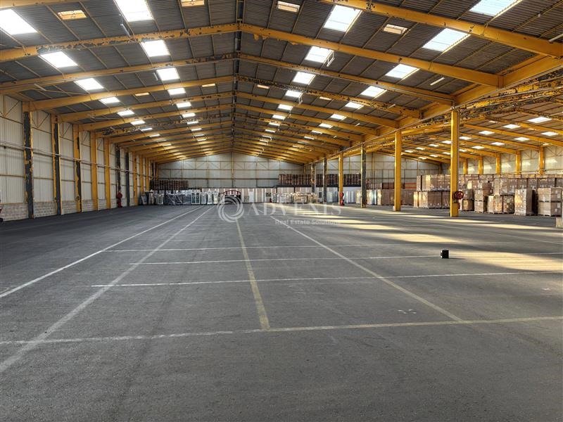 ADVENIS CONSEIL LE MANS VENTE-LOCAL D'ACTIVITE-MONTFORT_LE_GESNOIS-72