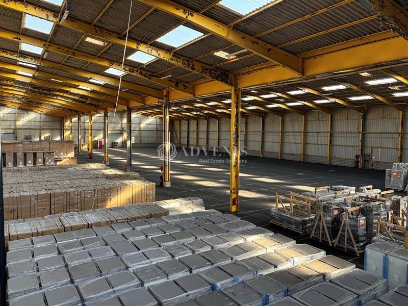 ADVENIS CONSEIL LE MANS LOCATION-LOCAL D'ACTIVITE-MONTFORT_LE_GESNOIS-72