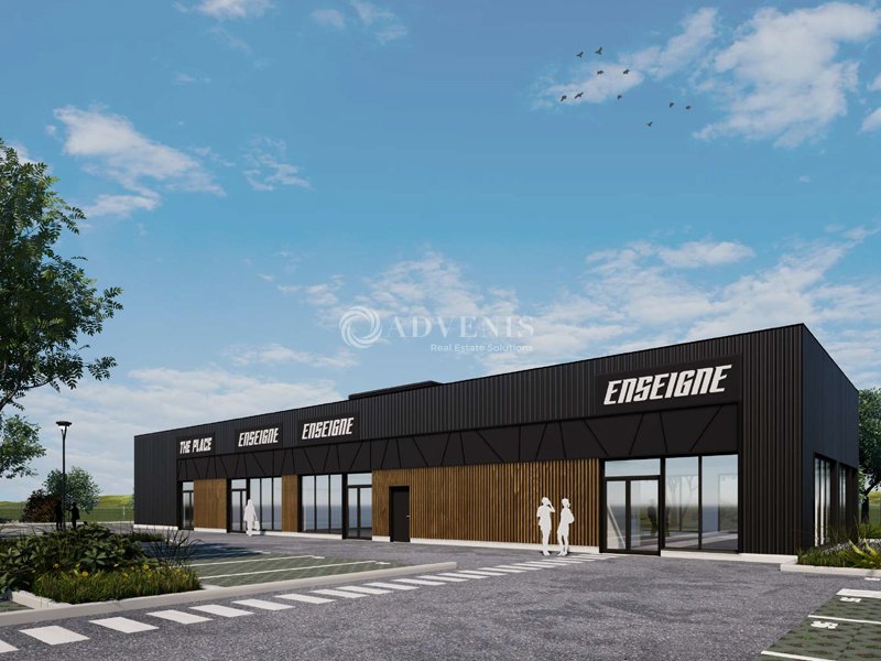 ADVENIS CONSEIL STRASBOURG LOCATION-LOCAL D'ACTIVITE-ROSHEIM-67