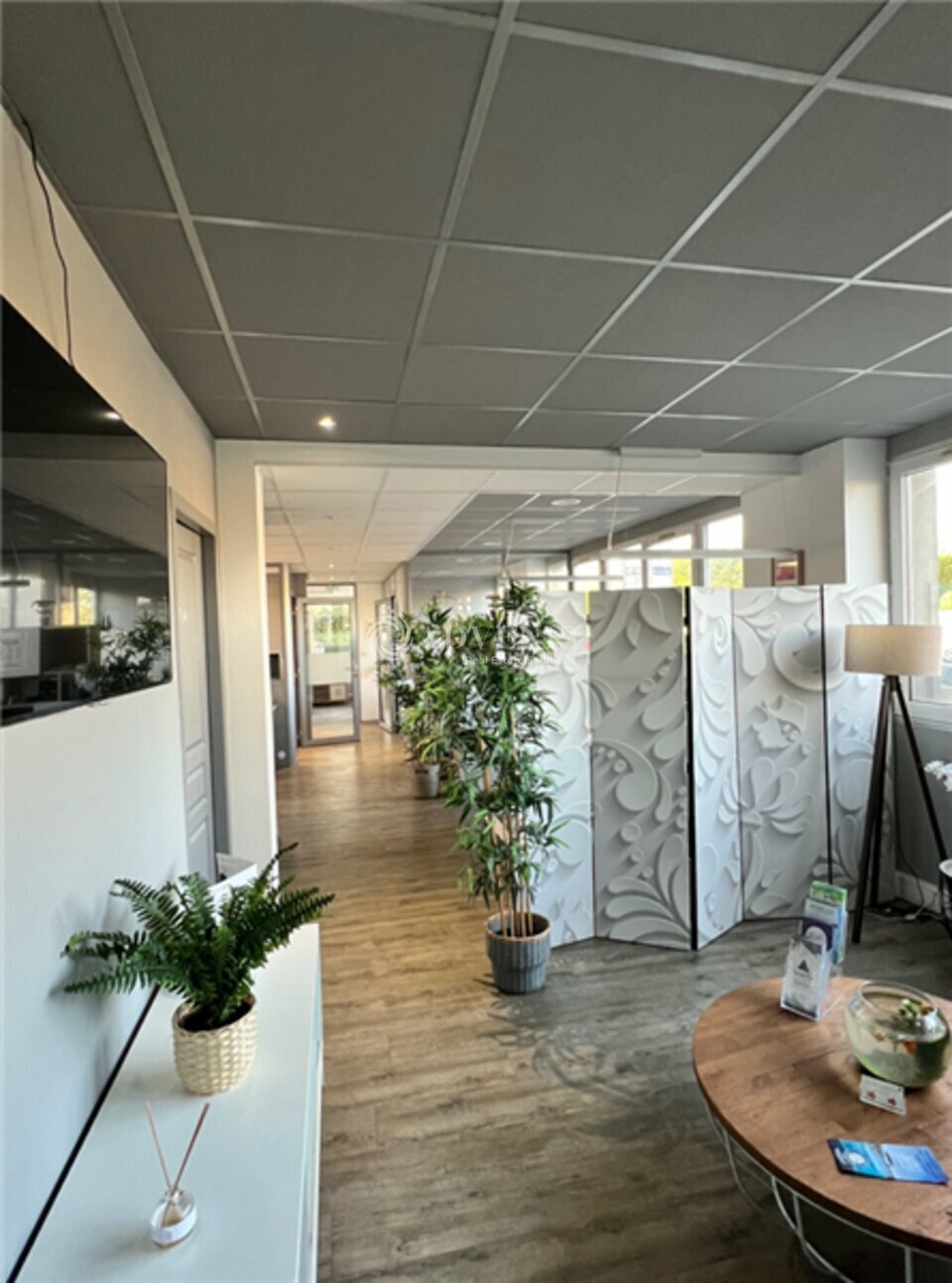 ADVENIS CONSEIL NARBONNE LOCATION-BUREAUX-LATTES-34