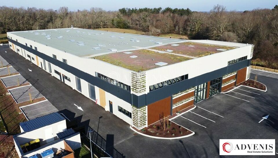 ADVENIS CONSEIL BORDEAUX VENTE-LOCAL D'ACTIVITE-SALLEBOEUF-33