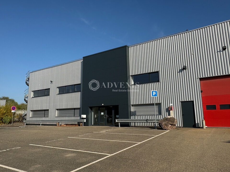 ADVENIS CONSEIL STRASBOURG LOCATION-LOCAL D'ACTIVITE-OBERNAI-67