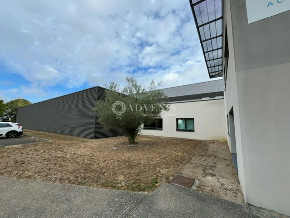 ADVENIS CONSEIL IDF OUEST LOCATION-LOCAL D'ACTIVITE-POISSY-78