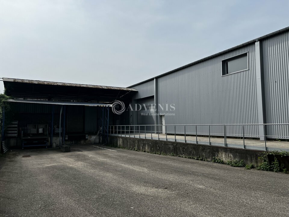 ADVENIS CONSEIL STRASBOURG LOCATION-LOCAL D'ACTIVITE-STRASBOURG-67