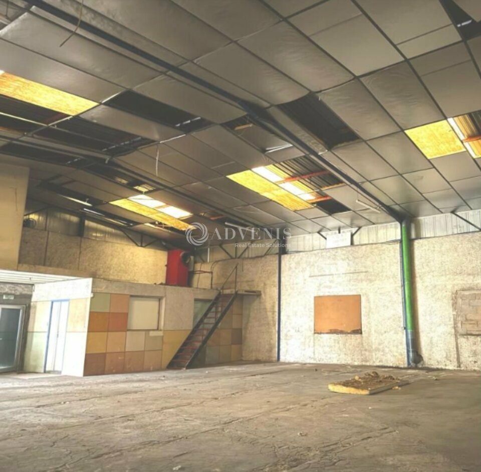 ADVENIS CONSEIL NARBONNE LOCATION-LOCAL D'ACTIVITE-SAINT_JEAN_DE_VEDAS-34