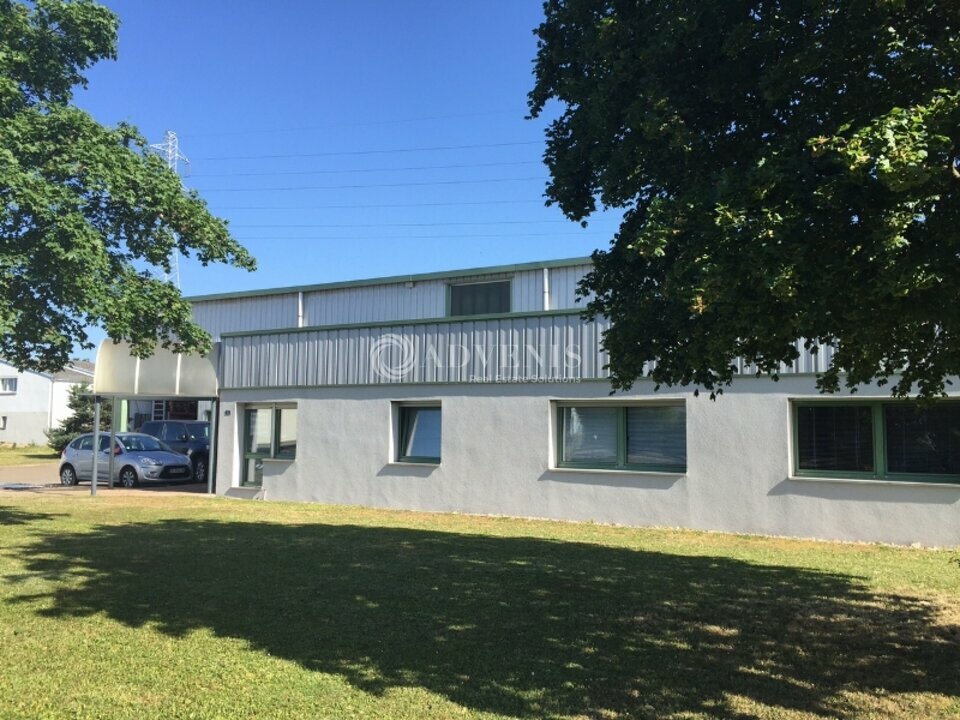 ADVENIS CONSEIL STRASBOURG VENTE-LOCAL D'ACTIVITE-DUTTLENHEIM-67
