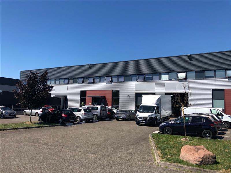 ADVENIS CONSEIL STRASBOURG LOCATION-LOCAL D'ACTIVITE-STRASBOURG-67