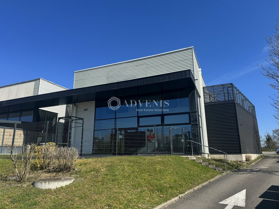 ADVENIS CONSEIL STRASBOURG LOCATION-LOCAL D'ACTIVITE-BRUMATH-67