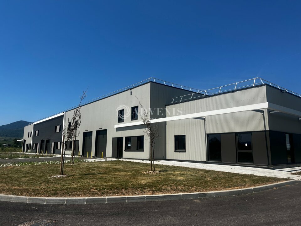 ADVENIS CONSEIL STRASBOURG VENTE-LOCAL D'ACTIVITE-BERGHEIM-68