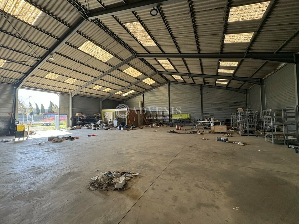 ADVENIS CONSEIL NARBONNE LOCATION-ENTREPOT-SAUVIAN-34