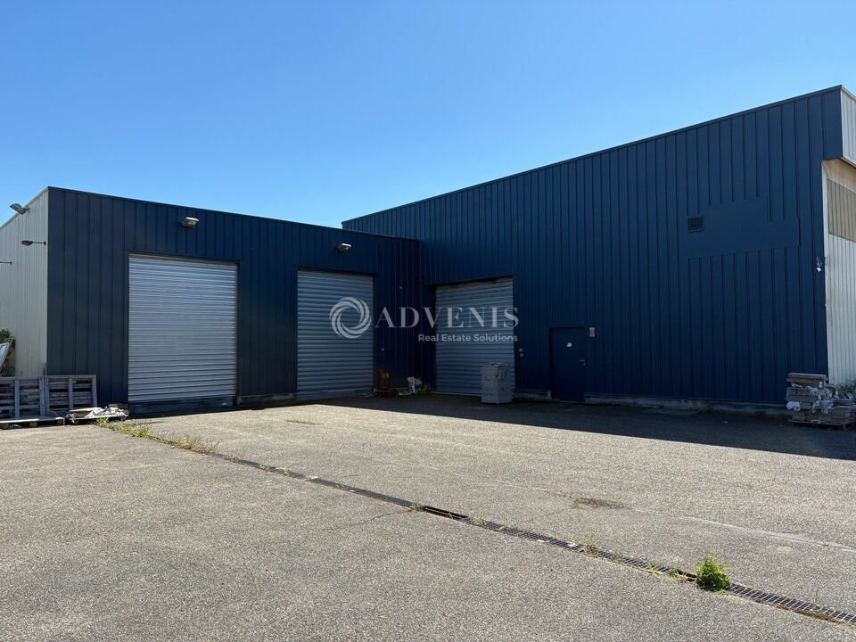 ADVENIS CONSEIL STRASBOURG LOCATION-LOCAL D'ACTIVITE-ECKBOLSHEIM-67