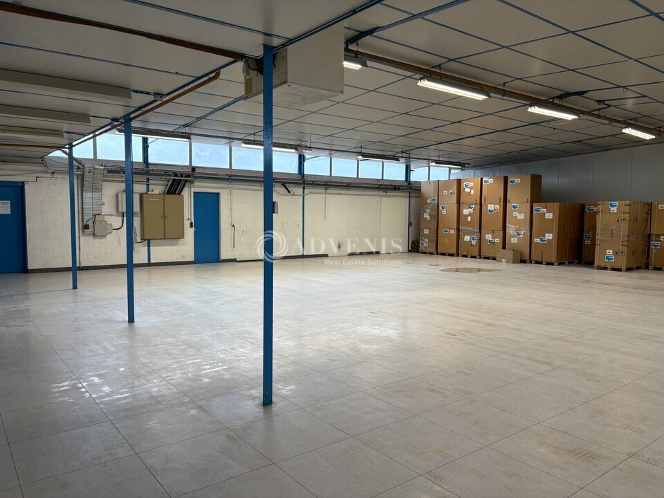 ADVENIS CONSEIL STRASBOURG LOCATION-LOCAL D'ACTIVITE-DUTTLENHEIM-67