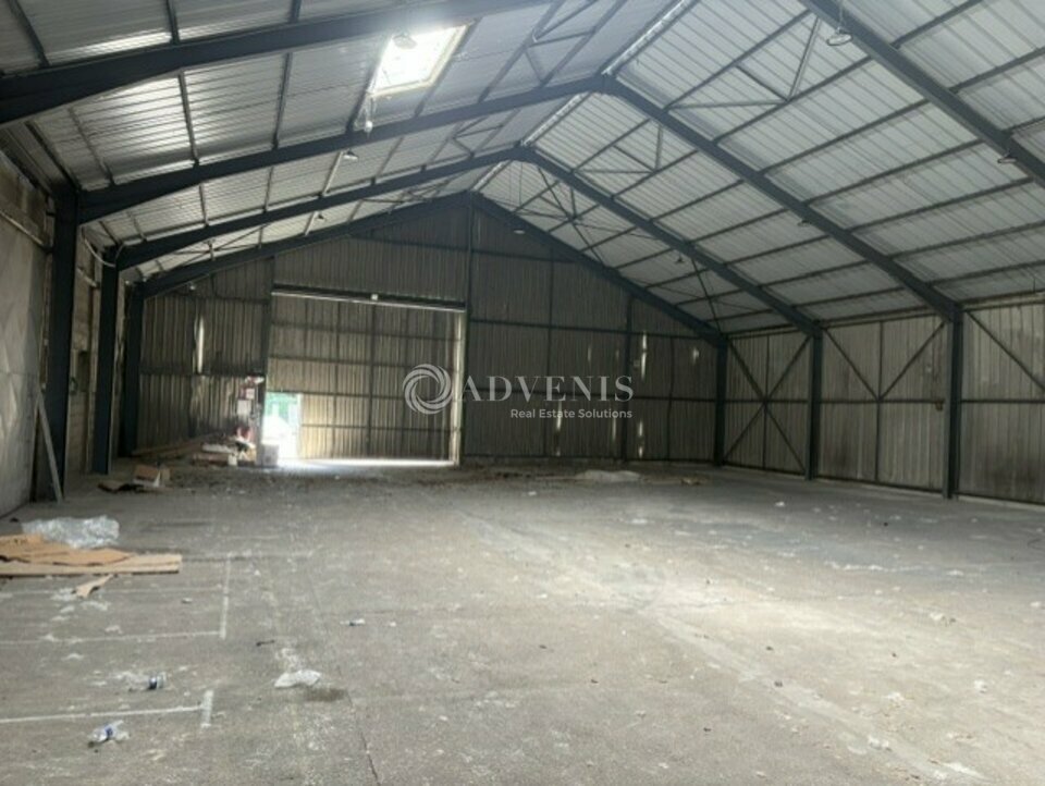 ADVENIS CONSEIL BLOIS LOCATION-LOCAL D'ACTIVITE-BLOIS-41