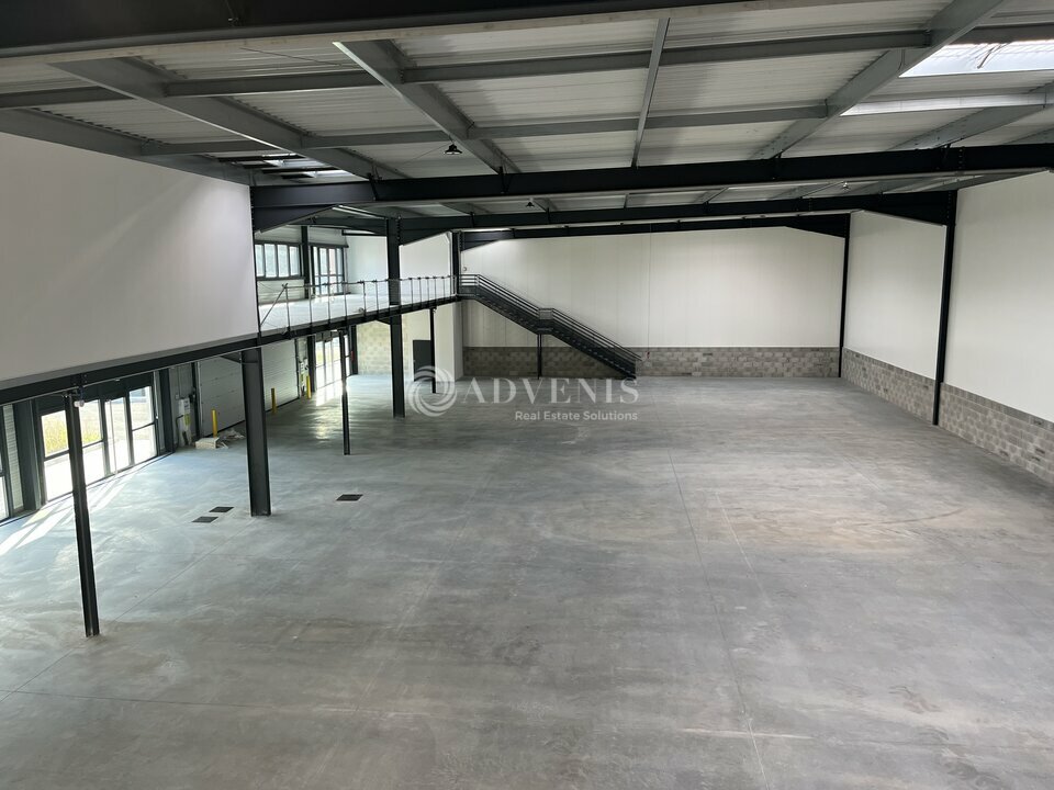 ADVENIS CONSEIL LYON LOCATION-LOCAL D'ACTIVITE-SAINT-LAURENT-DE-MURE-69