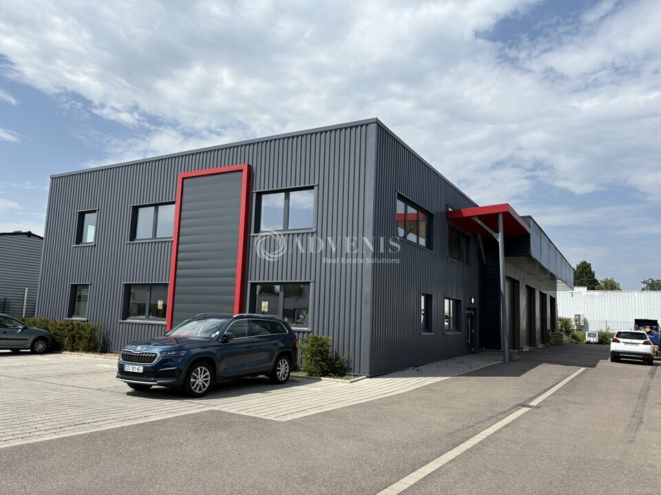 ADVENIS CONSEIL STRASBOURG LOCATION-LOCAL D'ACTIVITE-MUNDOLSHEIM-67