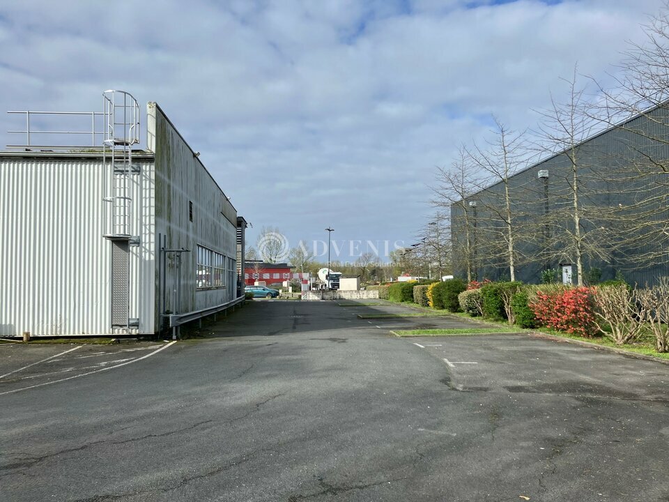 ADVENIS CONSEIL BORDEAUX LOCATION-LOCAL COMMERCIAL-BEGLES-33
